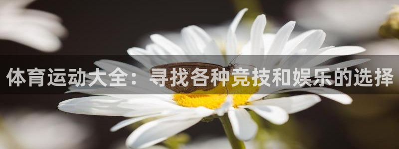 oe欧亿手机2024年新产品：体育运