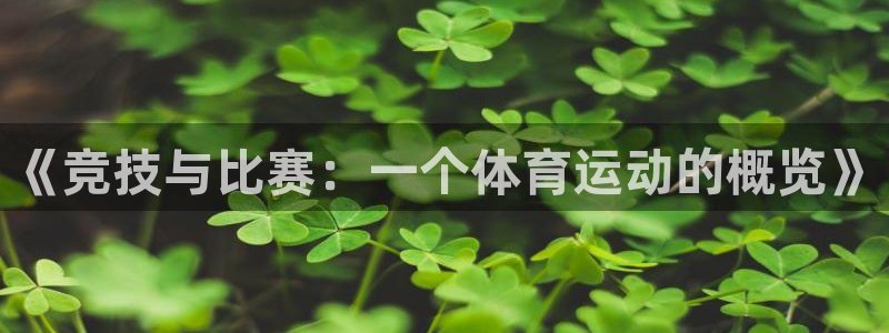 欧亿3湫33 300：《竞技与比赛：