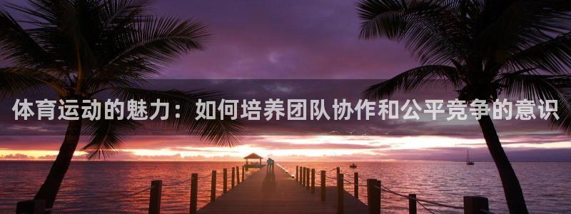 oe欧亿手机2024年新产品：体育运动的魅力：如何培养团队协