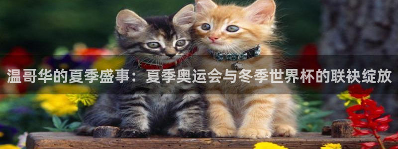 oe欧亿许明星：温哥华的夏季盛事：夏季奥运会与冬季世界杯的联